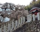 色々な悩みに対応します 恋愛や仕事や対人関係等なんでもご相談ください。 イメージ1