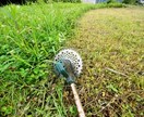 50㎡（駐車場約3.4台分）の草刈りをご提供します キャンペーン期間中の為、通常よりお安くご提供いたします。 イメージ4