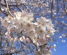 ご希望に合わせた国内旅行のしおりを作成します ご予算に合わせた安心のおでかけ提案 イメージ5