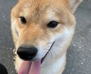 お悩みに寄り添います 自分の考えや行動で自ずとかわるかもしれません イメージ1