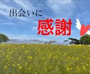 愚痴、不平不満、暇つぶし、なんでも聴きます ご希望に応じてワンオラクルアドバイスをサービス致します！ イメージ7