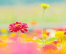 あなたの人生丸裸にします 真剣な相談から軽い愚痴までひろくお待ちしております！ イメージ2