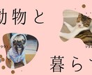 YouTube動画のサムネイル作成致します 最短1日納品♪おしゃれなサムネイル作成します♪ イメージ6