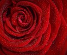 アバンダンシアの豊穣／金運＆繁栄♡ヒーリングします エネルギーヒーリング・セッション✕５種 イメージ3