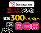 インスタの日本人いいねを増やします 日本人にあなたをプロモーションしていいねを増加！ イメージ1