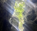 人生を変えるバリ島最強パワスポ旅のしおり作成します 本物のパワーを感じる神聖な聖域で心と体をリセットする旅へ イメージ5