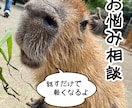 メンタル心理カウンセラー資格者が悩みをお聞きします 〜誰かに話すことで、あなたの人生は動き出す〜 イメージ1