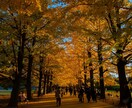SNSやプロフィール用のおしゃれな写真を撮影します ワンカット1000円〜、ご要望の素材写真をお撮りします！ イメージ5
