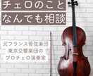 チェロのこと、なんでも相談お答えします 国内外プロオケ、15年以上の指導経験のチェリストが答えます イメージ1