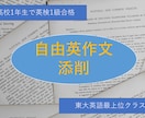 東大医学部生が大学受験の自由英作文の添削をします 大学受験で点数を取るために必要な添削をしていきます イメージ1