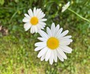話し相手が欲しい方…毎日一緒に過ごします /愚痴・不満・自慢聞いて！/惚気もぜひ♡聞かせてください♡ イメージ1