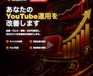 YouTubeチャンネルを伸ばすコンサルをします YouTubeのプロがあなたのチャンネル戦略を設計します！ イメージ1