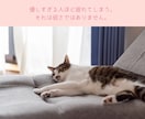 一人で抱えきれない気持ちを整理する電話相談をします 国家資格の心の専門家が、次の一歩を見つけるサポートをします イメージ9