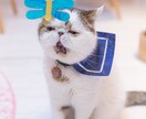 チャット☆3日間夜中でもお付き合いします お悩み、愚痴、雑談など、何でもokです❣ イメージ3