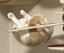 貴方の注意する時期をお伝え致します 新しいことを始めてはいけない。怪我に注意など! イメージ2