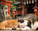 あなたの魂に刻まれた適職や生き方をお伝えします 迷いを晴らし、本来のあなたが輝く道へと導く霊視鑑定 イメージ5