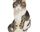 透明水彩を使用。可愛い猫の似顔絵を手描きで描きます ペット／猫／プレゼント／アート（※ワンコは別出品です） イメージ1