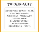 粗い画像やロゴを丁寧にトレースいたします 【修正無制限】印刷にも使える高品質なAIデータへ変換！ イメージ8