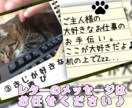 大好きなペットちゃんの説明書（動画）製作します ♪　ペットが好き好き♪　飼い主様のインタビューをもとに作成！ イメージ5