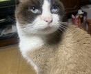 うつ症状でも安心して話せる居場所ここにあります 経験者だからこそ分かる気持ちに寄り添います！ イメージ1