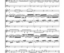 長いクラシック曲を短くアレンジします クラシック曲の美味しいところ詰め合わせセットでお届け致します イメージ5