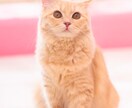 画像を絵やイラスト風にします 画像をかわいい絵にします！！！ イメージ2