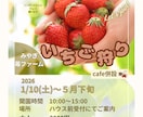 的確に伝わるバナーを制作しますます バナー/WEB画像/LP/ヘッダー画像制作 イメージ4