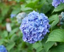 先着10名様値下げ！写真をエモ写真にレタッチします 作例を見て下さい写真はそれぞれbefore→afterです イメージ1