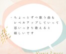 低音も高音も楽々広がる簡単ボイトレ、教えます 本来のあなたに戻り、さらに豊かな人生に変化していけます✨ イメージ6
