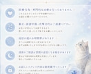 動物好き・繊細さんのお気持ち、丁寧にお聞きします ひとりで抱えなくて大丈夫です。繊細さんに寄り添います。 イメージ5
