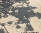 対人関係の悩み事を解消します 人間関係の悩み事を吐き出してみてください！ イメージ1