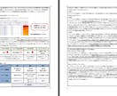 キャンプ用品店★持続化補助金採択書類をお譲りします 採択済み事業計画書を【テンプレート】としても利用できます！ イメージ3