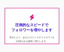 インスタグラムのフォロワー2,000人増やします インスタ　フォロワー増加　拡散　宣伝 イメージ2
