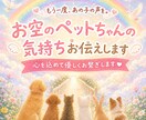 お空のペットちゃんと心を繋ぎ想いを届けます ＊後悔＊伝えたかった想い＊今の気持ちを知りたい方へ イメージ1
