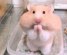 何でも、話たい事、悩みなら聞きます ちょこっと聞いてもらうだけで、スッキリしますよ！ イメージ1