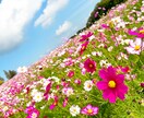 人には言いにくいあなたの自慢話とことん聞きます 自慢したいけど最適な知り合いがいない…そんな時ありますよね イメージ4