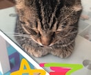 深く読み取っていきます タロットとダウジングで占います。丁寧に分かりやすく鑑定します イメージ1