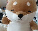 うつの辛さお聞きします うつ本人の私が、今悩んでいることや辛い気持ちをお聞きします。 イメージ1
