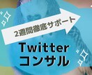 徹底的に！2週間Twitterコンサルします プロのプロフィール文作成付き！短期集中で実力アップ！ イメージ1