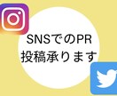 Instagram,TwitterでのPR承ります 現役ライター兼カメラマンが商品紹介を心を込めて行います イメージ1