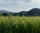 まずは現状維持！！ちょっとだけお供します 自称「プロの引きこもり」と一緒に先ずは明日を迎えませんか。 イメージ1