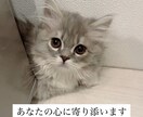恋愛で苦しくなったあなたの味方になります 愚痴・相談OKです。あなたの心に寄り添います。 イメージ1