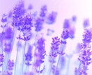 介護のかけこみ部屋  あなたのお悩みに寄り添います 両親の介護&現場のお悩み、転職、人間関係等の駆け込み部屋です イメージ1