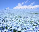2人の相性、未来、進むべき方向を丁寧に占います 今後の行方や将来が気になる❕同じ方向を向いてる？彼の気持ち？ イメージ8