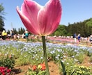 お話相手になります 悩み相談、愚痴、落ちこんでいる時など… イメージ1