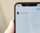 お試し期間あり！Twitter運用代行します 【まずはご相談ください！アカウント0→1から運用も可能】 イメージ2