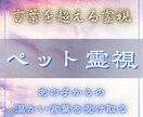 ペット霊視｜あなたの大事な家族の想いを視ます あの子が伝えたい言葉、伝えられなかった思い イメージ1