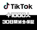 TikTokのフォロワー＋1000人増加させます 【プロフィール、動画投稿済高品質フォロワー】【30日間保証】 イメージ1