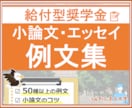 大ボリューム❗️奨学金の小論文例文集、提供します 100種以上の作文集！申請テンプレートとして活用しよう！ イメージ1