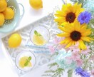 夫婦関係で悩み現状を変えたい方親身に寄り添います 前に進みたい方、まずは、気持ちを吐き出してみませんか？ イメージ9